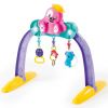 Brinquedo Educativo Baby Gym Pet Cores Sortidas Ta Te Ti 0909