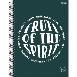 Caderno Espiral Univ. Capa Dura 1 Matéria 80 Fls Cristo 100% São Domingos