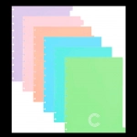Divisória para Caderno Disco Caderno Inteligente Color c/6 Divisões Grande