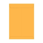 Envelope Saco Ouro 80g 310x410mm pct c/10 Unid Foroni 