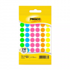 Multicolor Neon