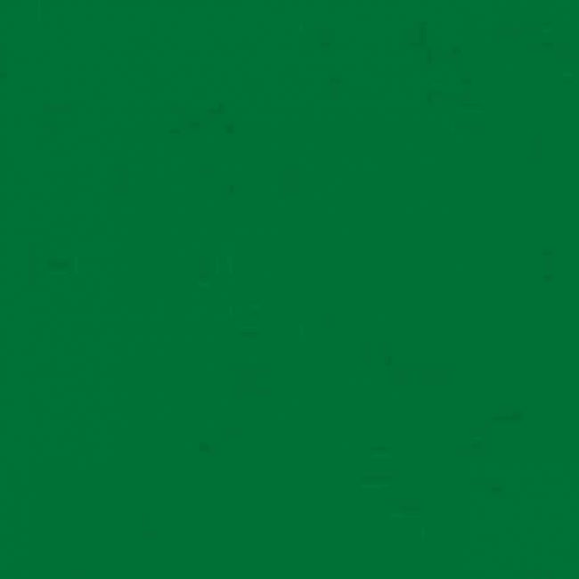 Folha em EVA Liso 1,5mm 40 x 48cm pt 10 Fls - Verde Escuro