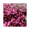 Lantejoula Nº 6 1000 Unid Metalizado Lantecor - Pink