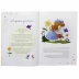 Livro Infantil 4 a 6 Anos Estrela Guia Descobrindo Valores 