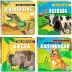 Livro Infantil 5 a 8 Anos - Toque, Sinta e Escute! Happy Books