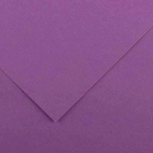 Violeta