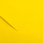 Amarelo Canário
